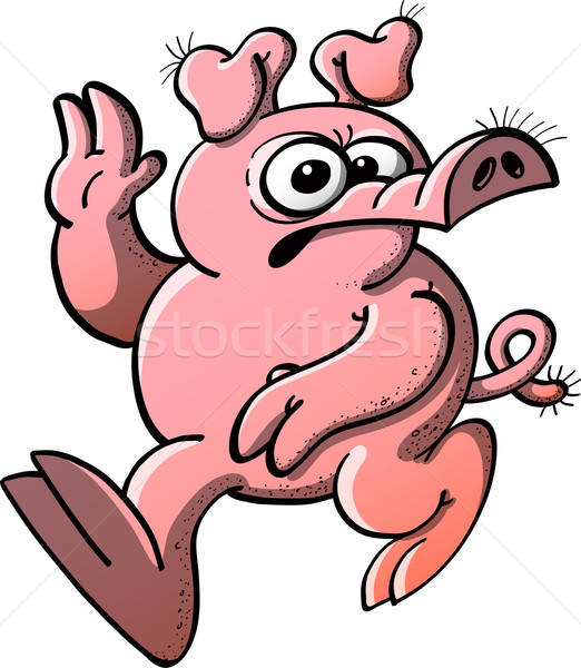 Böse Schwein Ärger funny lockig Stock foto © zooco