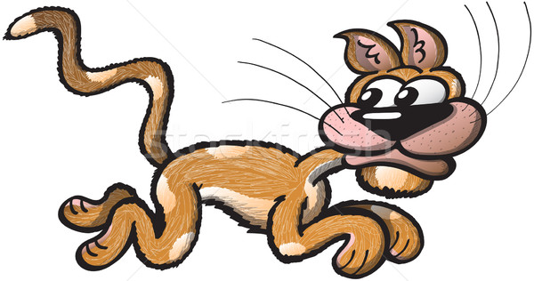 Fearful cat running Stock photo © zooco