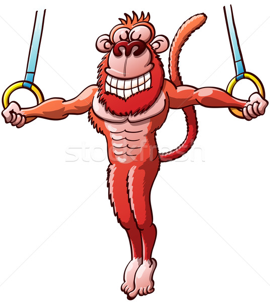 Nice Monkey Executing Stunts on the Flying Rings  Stock photo © zooco