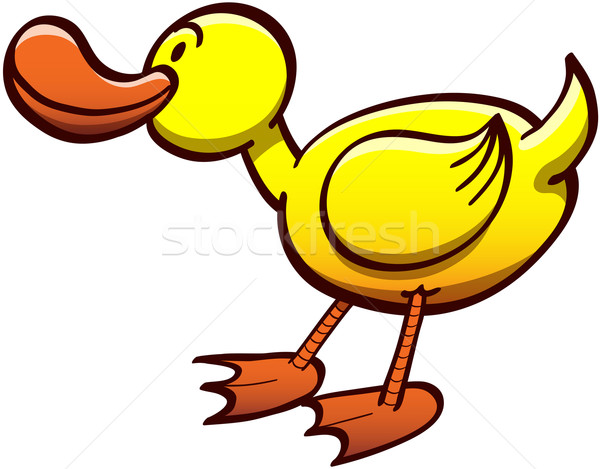 Nice duck walking while looking ahead Stock photo © zooco