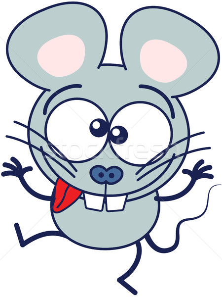 Cute Maus funny Gesichter grau Stock foto © zooco