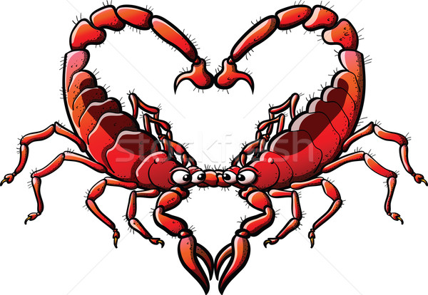 Loving Scorpions Stock photo © zooco