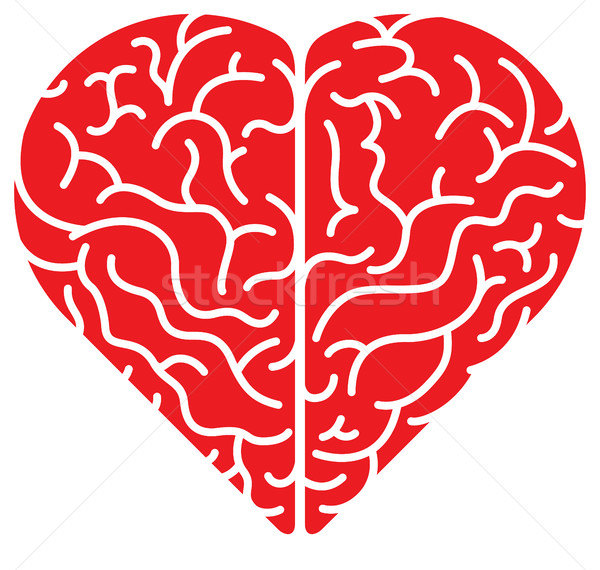 Red cartoon heart shaped brain Stock photo © zooco