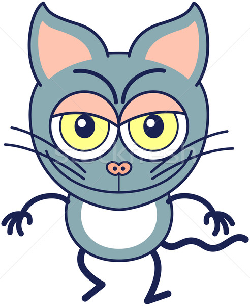 Drăguţ pisica gri dispozitie rău gluma Imagine de stoc © zooco