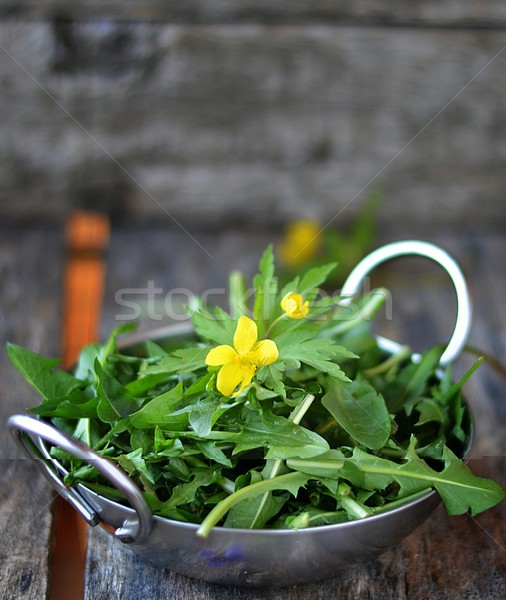 Zdjęcia stock: Dandelion · liści · metaliczny · puchar · medycznych