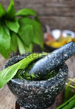 Stock photo: bear's onion pesto.