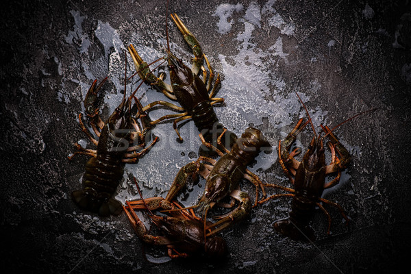 raw crayfish on the stone background.selective  focus Stock photo © zoryanchik