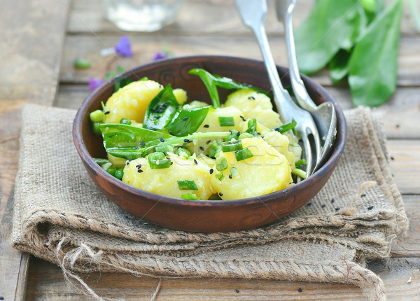 商业照片: 绿色 · 春天 · 沙拉 ·菜· 晚餐