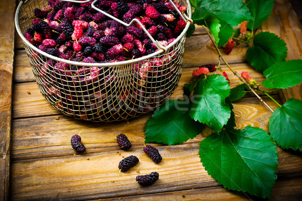 the berries of an organic mulberry  Stock photo © zoryanchik