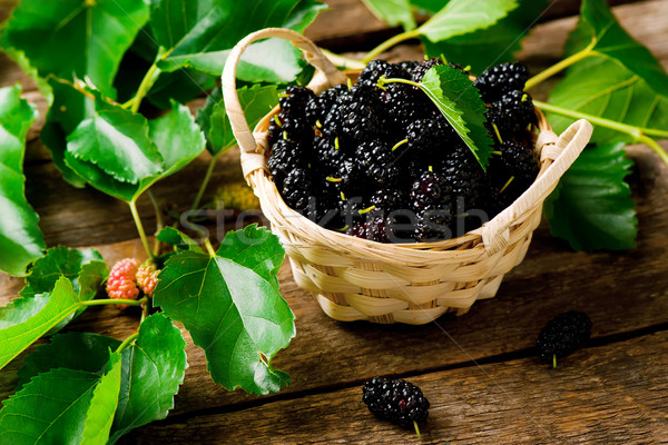 the berries of an organic mulberry  Stock photo © zoryanchik
