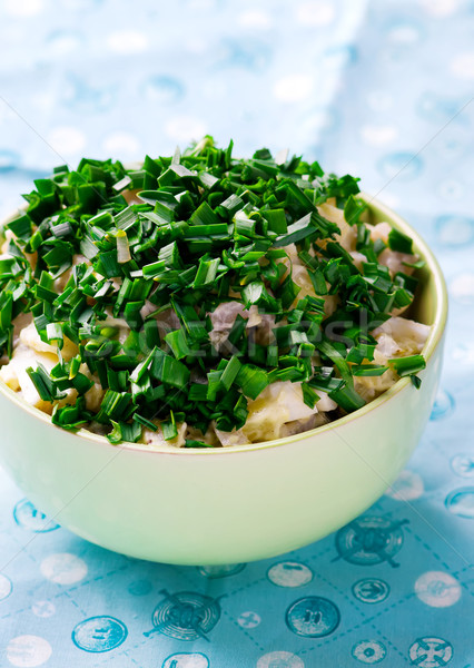 Maionese salada foco verde prato branco Foto stock © zoryanchik