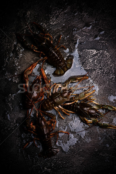 raw crayfish on the stone background.selective  focus Stock photo © zoryanchik