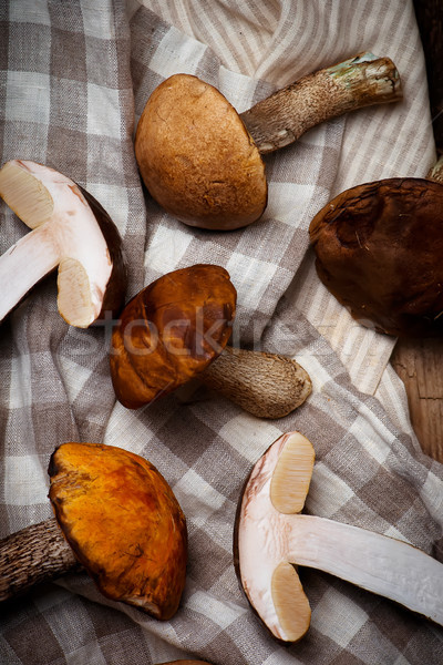 Wild  forest mushrooms. style rustic.  Stock photo © zoryanchik