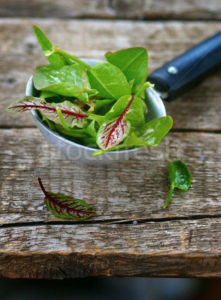 fresh and organic sorrel leaves Stock photo © zoryanchik