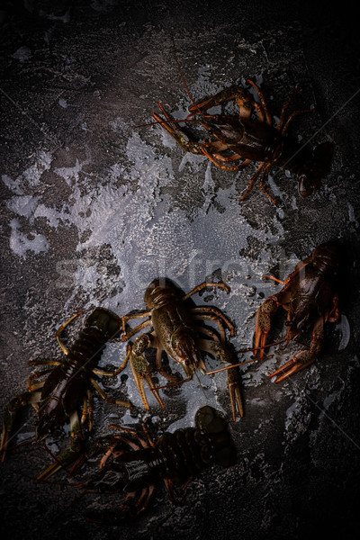 raw crayfish on the stone background.selective  focus Stock photo © zoryanchik
