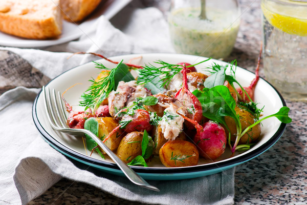 roast radish new potato peppered mackerel salad Stock photo © zoryanchik