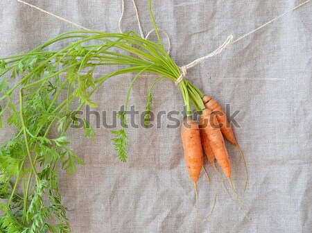 fresh, organic carrot Stock photo © zoryanchik