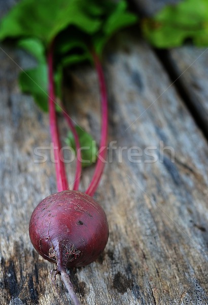 Fresh, organic beet root Stock photo © zoryanchik