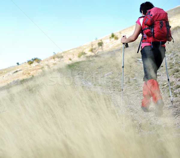 Nordic Walking at mountains, hiking woman in grass Stock photo © zurijeta