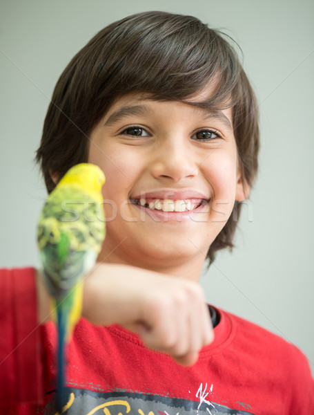 Kid playing with his pet parrot Stock photo © zurijeta