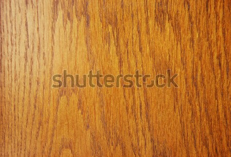 Interesante forma madera forestales resumen Foto stock © zurijeta