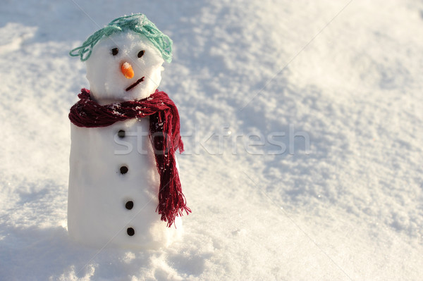 Snowman for winter christmas Stock photo © zurijeta