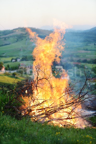 Big fire on meadow Stock photo © zurijeta