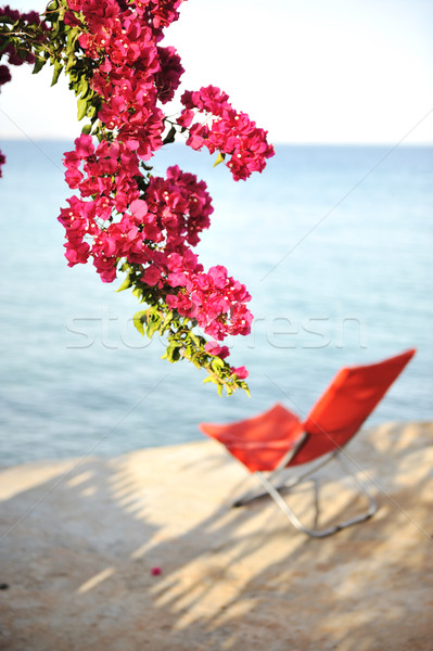 Sedia perfetto riposo mare spiaggia cielo Foto d'archivio © zurijeta