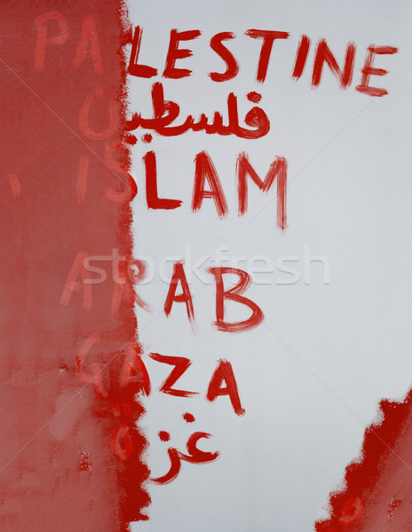 Conceptual image of wiping out the Palestine from the map Stock photo © zurijeta