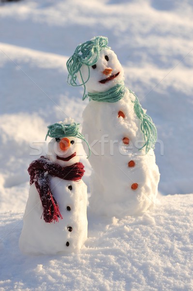 Pupazzo di neve inverno Natale bocca palla carta Foto d'archivio © zurijeta