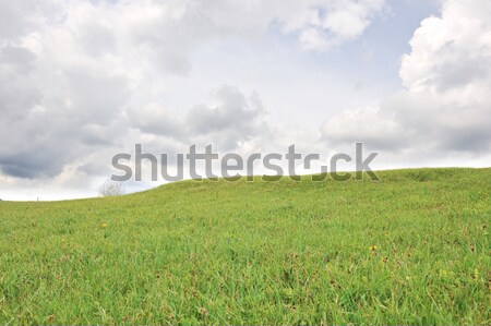 Meadow and sky Stock photo © zurijeta