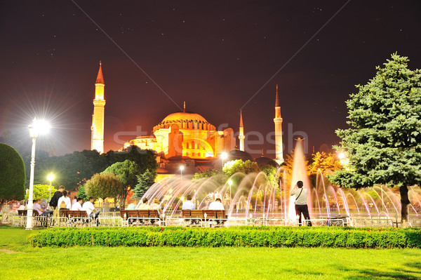 Isztambul káprázatos éjszakai jelenet épület kert nyár Stock fotó © zurijeta