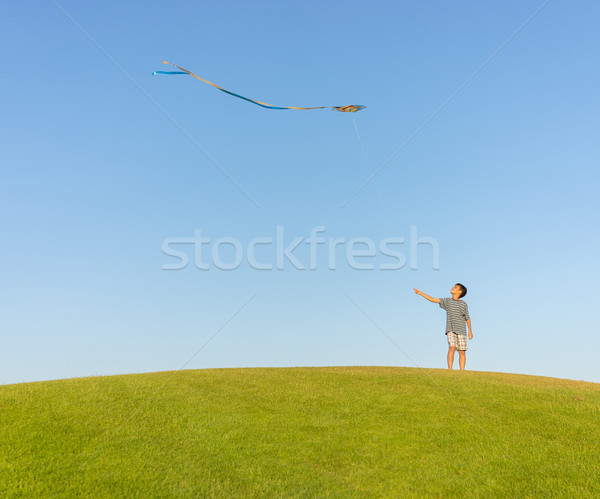 Running with kite on summer holiday vacation, perfect meadow and Stock photo © zurijeta