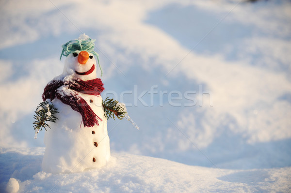 Snowman for winter christmas Stock photo © zurijeta