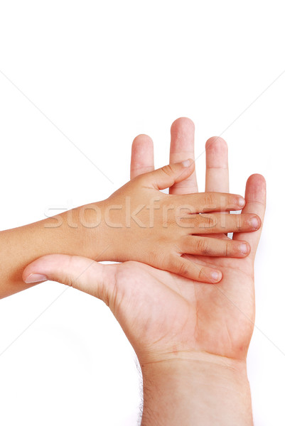 Stockfoto: Weinig · hand · groot · een · familie · handen