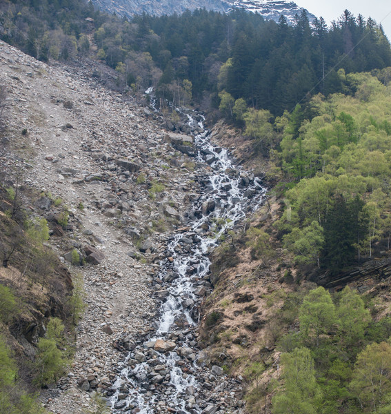 Foto d'archivio: Montagna · torrente · acqua · primavera · foresta · rock