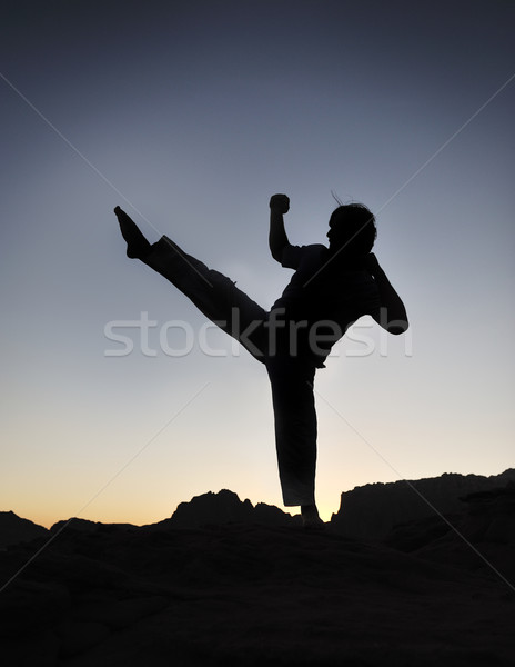 Karate fighter silhouette, young man doing an exercise of fighting sport, sunset, outdoor Stock photo © zurijeta