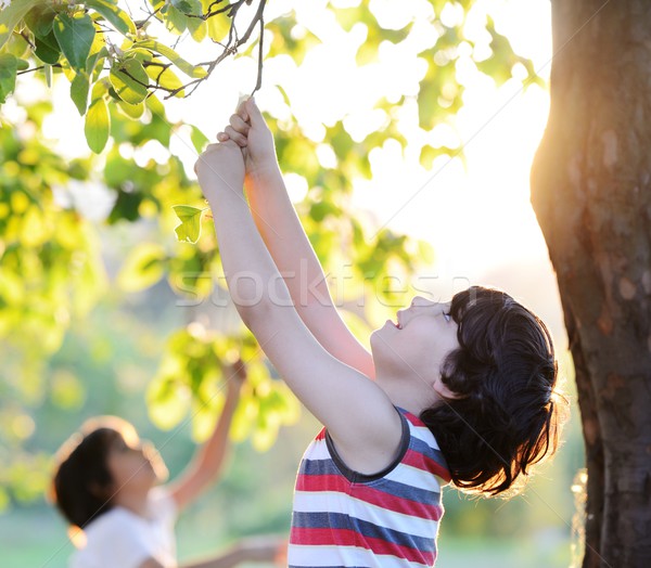 Happy kid outdoors in nature having good time Stock photo © zurijeta