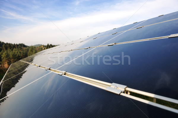 Alternatief energie fotovoltaïsche zonnepanelen blauwe hemel gras Stockfoto © zurijeta