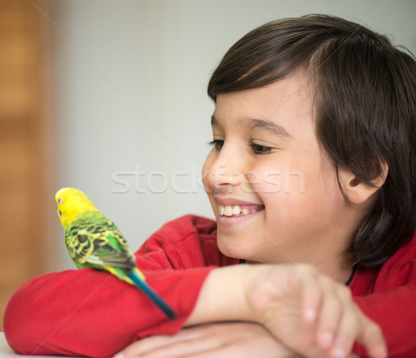 Kid playing with his pet parrot Stock photo © zurijeta