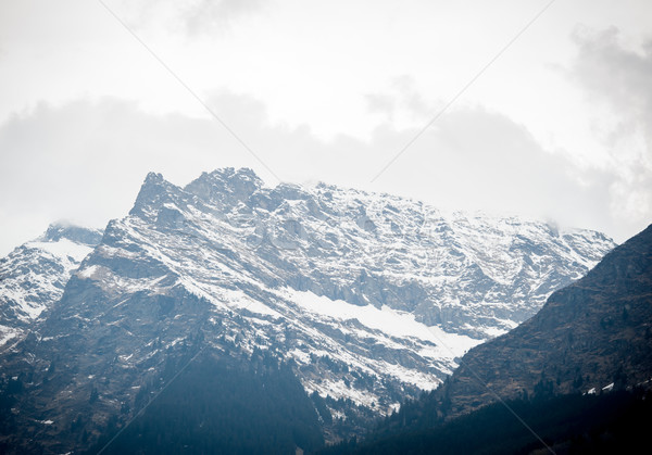 Swiss mountains Stock photo © zurijeta
