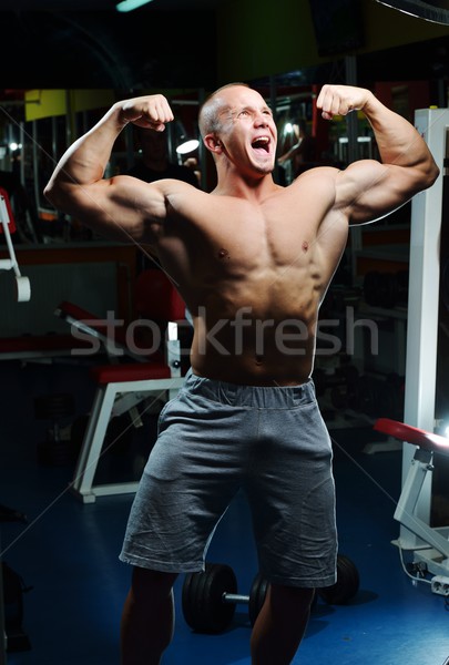 Athletic bodybuilder, execute exercise in sport gym hall Stock photo © zurijeta