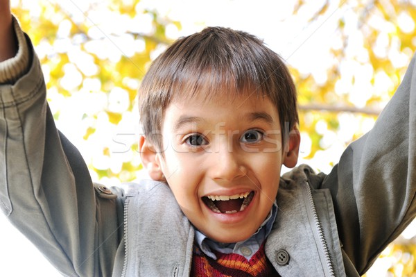 Happy kid in autumn park portrait Stock photo © zurijeta