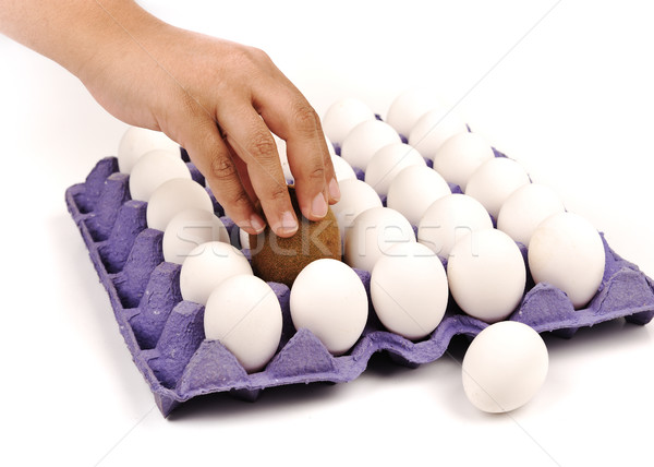 Kiwi jaj biały wymiana ludzi działania Zdjęcia stock © zurijeta