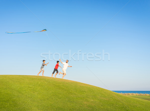 Läuft Kite Sommerurlaub Urlaub perfekt Wiese Stock foto © zurijeta