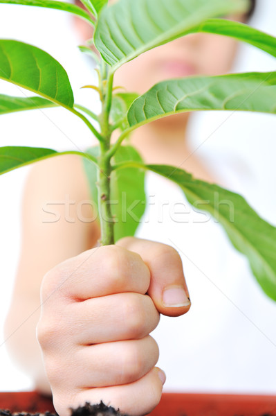 Childs hand holding a plant Stock photo © zurijeta
