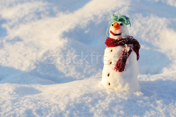 Snowman for winter christmas Stock photo © zurijeta