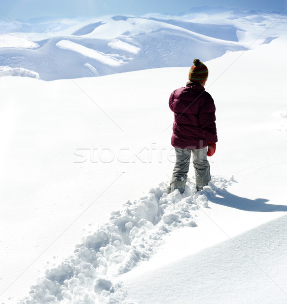 Walking in snow Stock photo © zurijeta