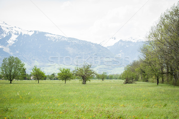 Swiss mountains Stock photo © zurijeta