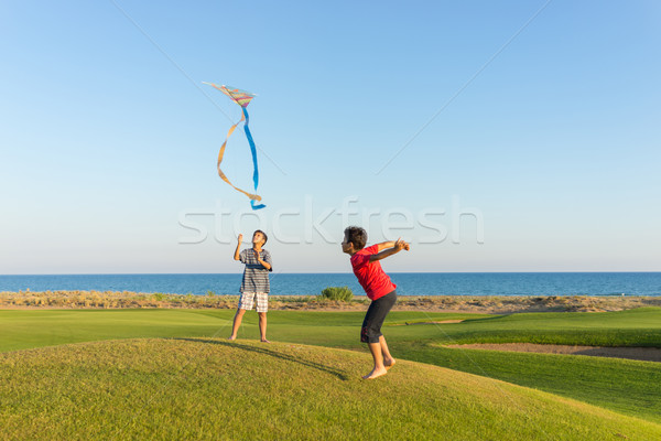 Foto stock: Ejecutando · cometa · vacaciones · perfecto · pradera